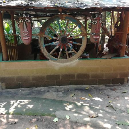 דמבולה Sigiriya Freedom Lodge מראה חיצוני תמונה