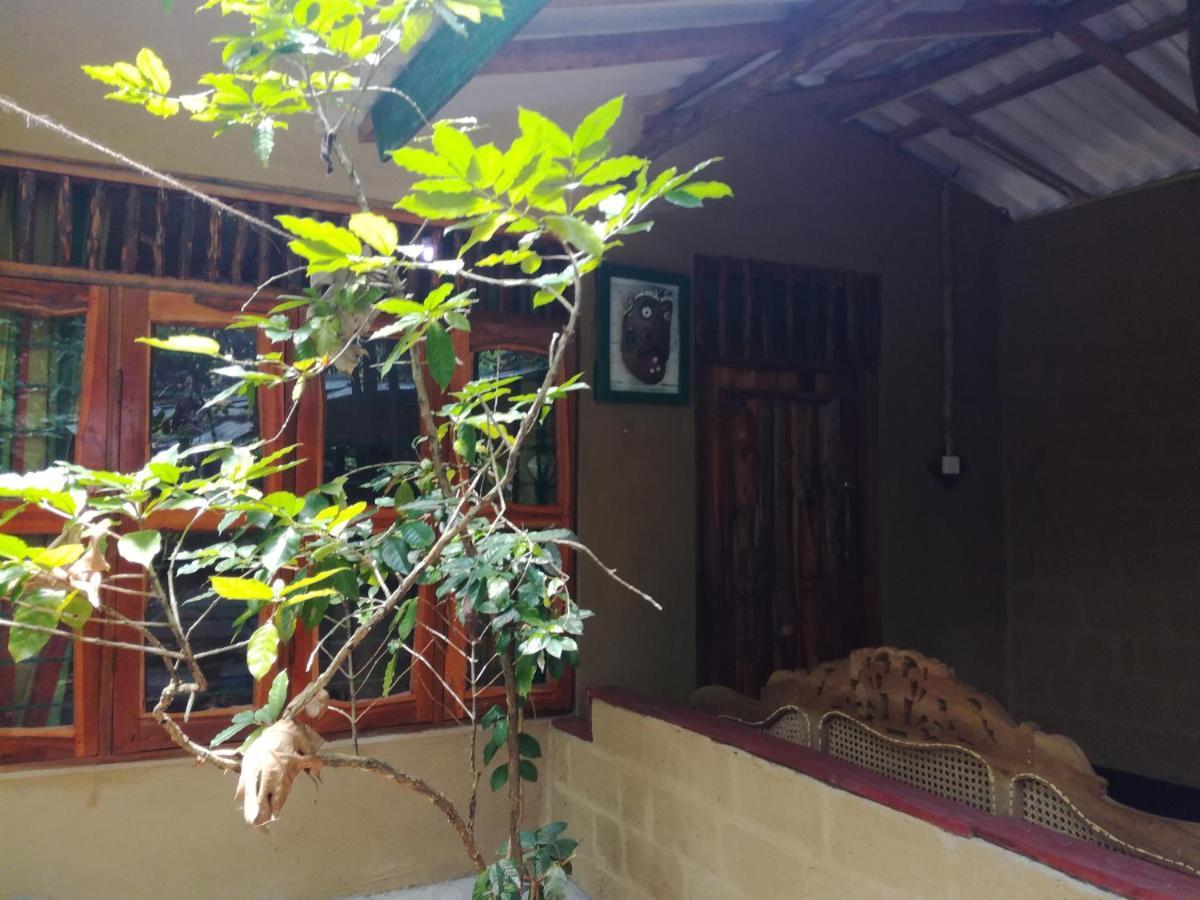 דמבולה Sigiriya Freedom Lodge מראה חיצוני תמונה