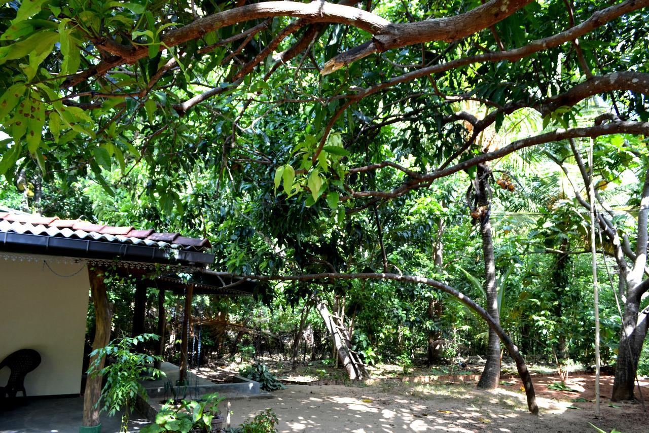 דמבולה Sigiriya Freedom Lodge מראה חיצוני תמונה