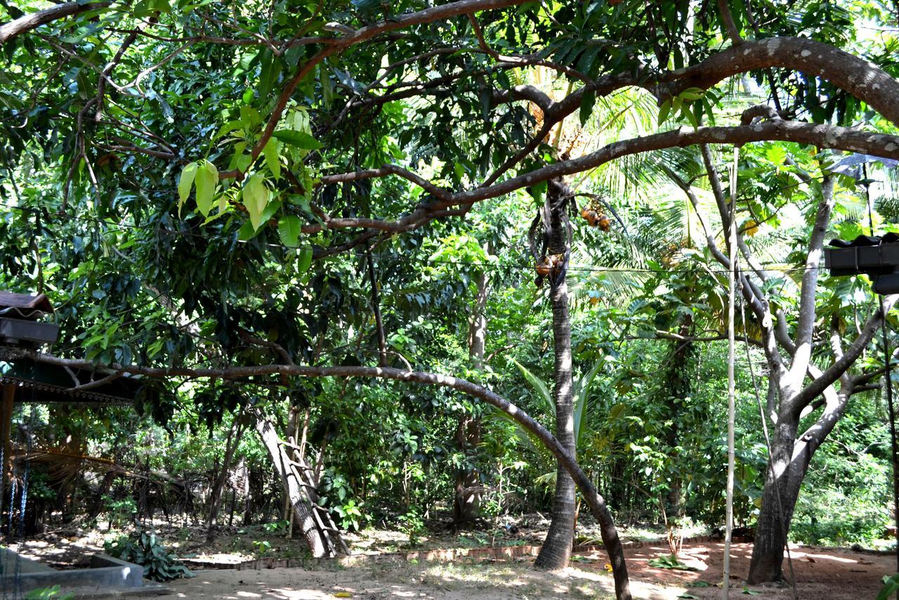 דמבולה Sigiriya Freedom Lodge מראה חיצוני תמונה