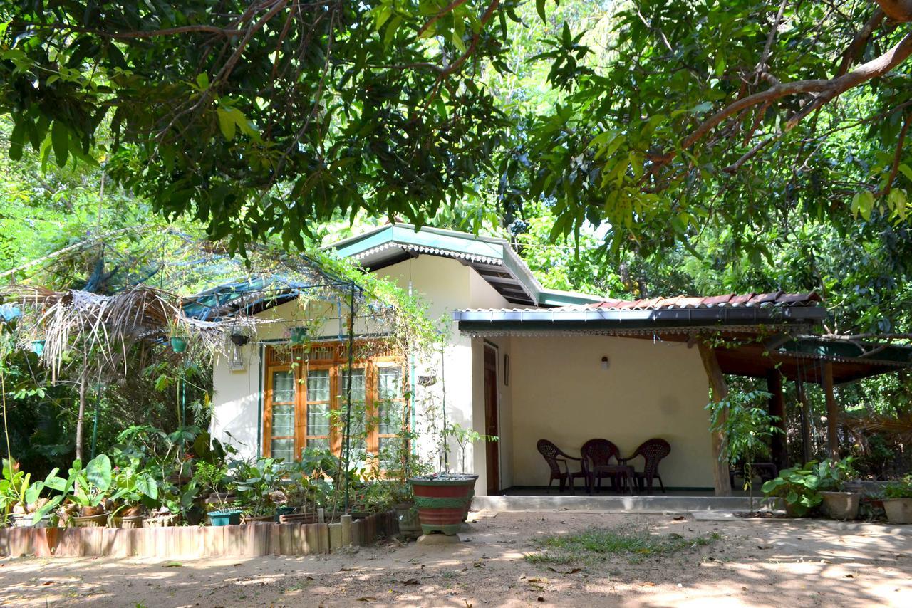 דמבולה Sigiriya Freedom Lodge מראה חיצוני תמונה