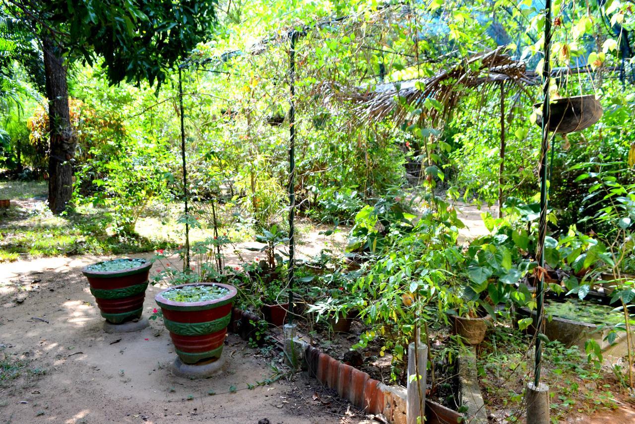 דמבולה Sigiriya Freedom Lodge מראה חיצוני תמונה