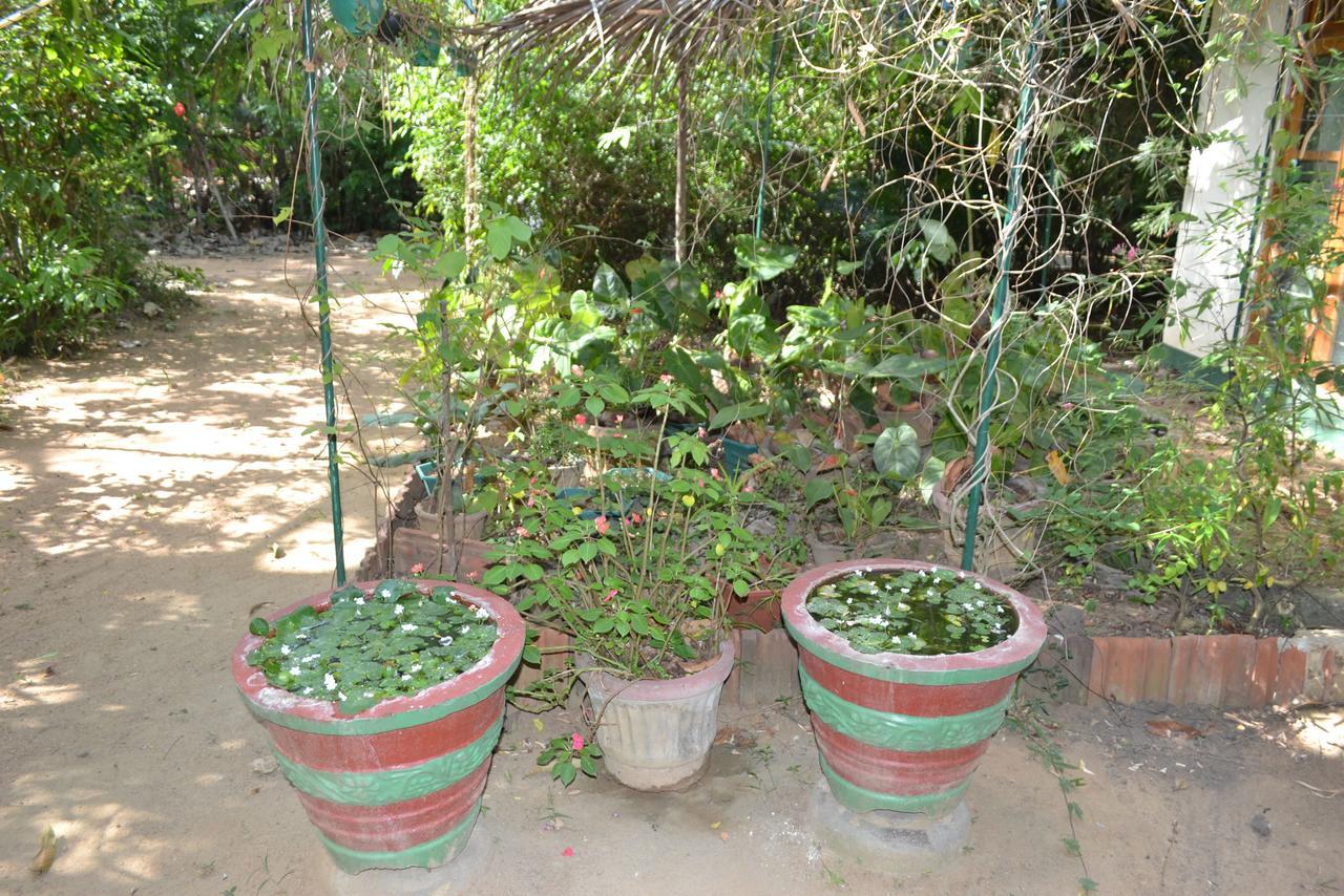 דמבולה Sigiriya Freedom Lodge מראה חיצוני תמונה
